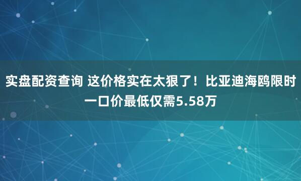 实盘配资查询 这价格实在太狠了！比亚迪海鸥限时一口价最低仅需5.58万